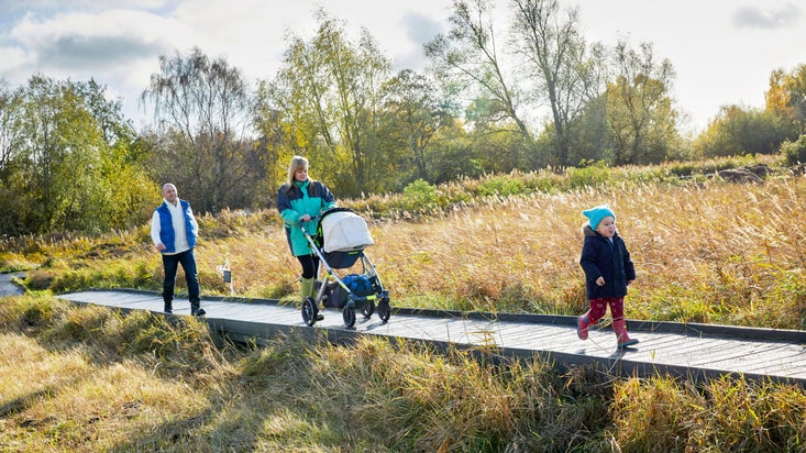A family with a pushchair and a young child running ahead walk along the boardwalk at Wicken Fen, Cambridgeshire, with sedge growing on either side and mature trees in the distance